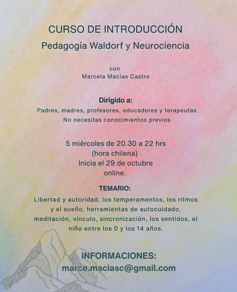 Pedagogía Waldorf y Neurociencia